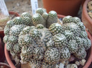 DSCF1589