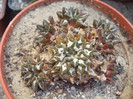 DSCF1592