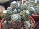 DSCF1594