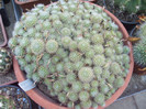 DSCF1600