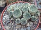 DSCF1605