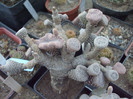 DSCF1606