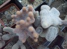 DSCF1607