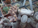 DSCF1608