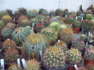 DSCF1611