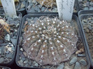DSCF1612