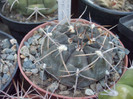 DSCF1614