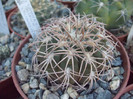 DSCF1616