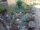 DSCF1620