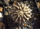 DSCF1627