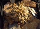 DSCF1629