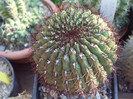 DSCF1631