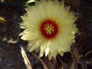 DSCF1633