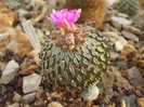 DSCF1635