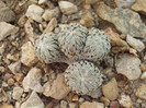 DSCF1636