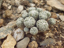 DSCF1638