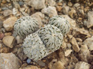 DSCF1639