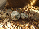 DSCF1640