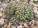 DSCF1641