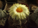 DSCF1643