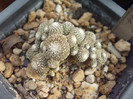 DSCF1646