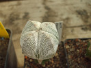 DSCF1647