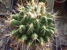 DSCF1651