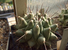 DSCF1652