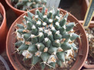 DSCF1654
