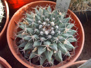 DSCF1655