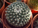 DSCF1656