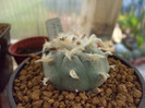 DSCF1657