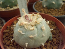 DSCF1658
