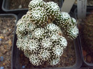 DSCF1659