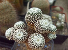 DSCF1660