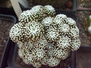 DSCF1661
