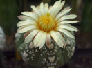 DSCF1663