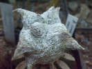 DSCF1669