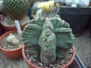 DSCF1672