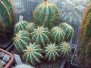 DSCF1674
