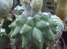 DSCF1675