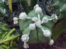 DSCF1677