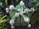 DSCF1679