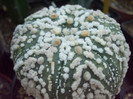 DSCF1680