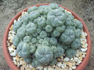 DSCF1682