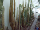 DSCF1683