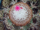 DSCF1687