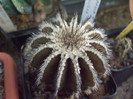 DSCF1697