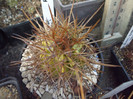 DSCF1690