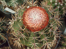 DSCF1691
